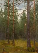 unknow artist Pine forest painting